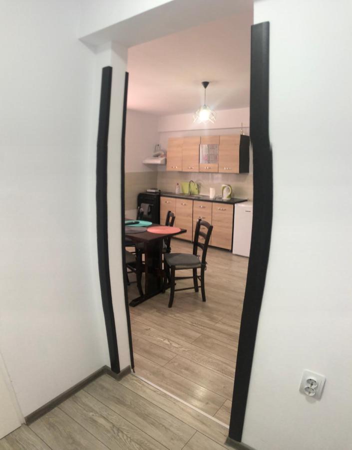 Apartament Ultracentral Vatra Dornei公寓 外观 照片