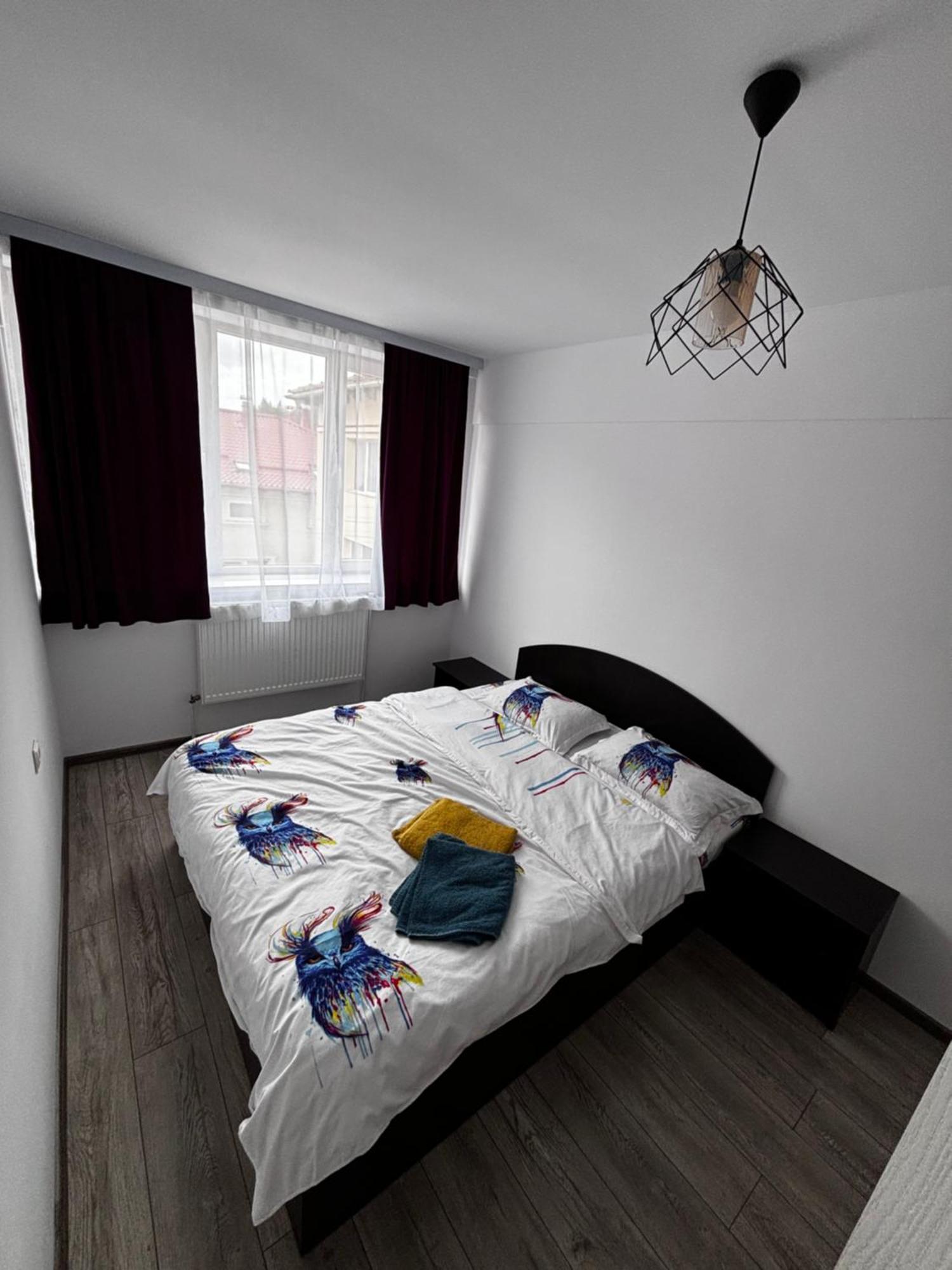 Apartament Ultracentral Vatra Dornei公寓 外观 照片